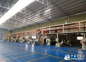 技改升级驱动高质发展——福建南平纸箱厂七层纸板线技改项目顺利完成