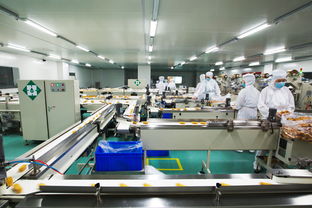 福娃六厂二期项目仓储担保方案解析